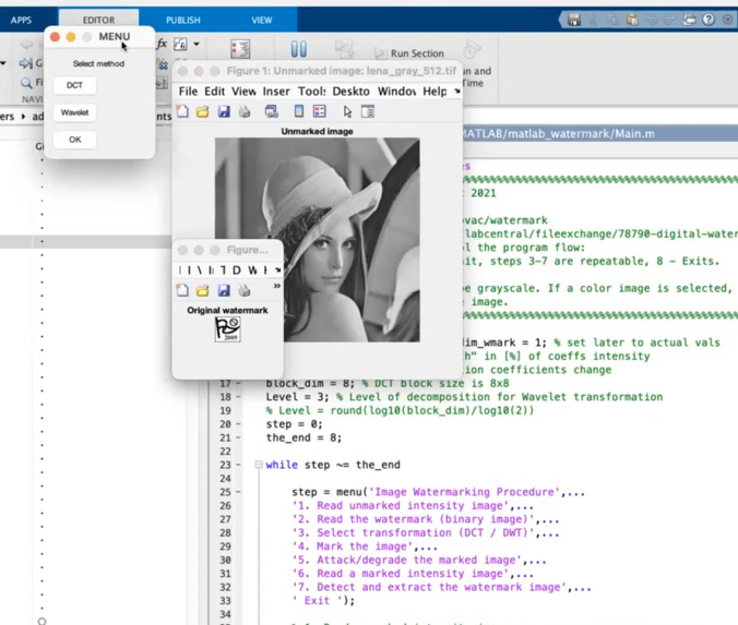 Dolos – screenshot 1