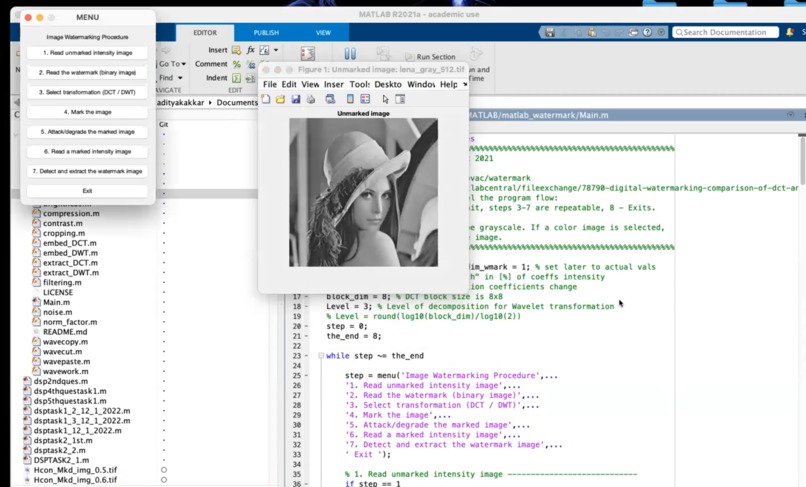 Dolos – screenshot 2