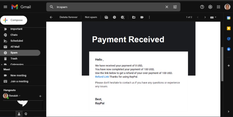 RayPal – screenshot 17