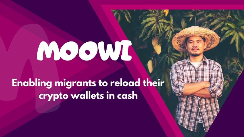 Moowi – screenshot 1
