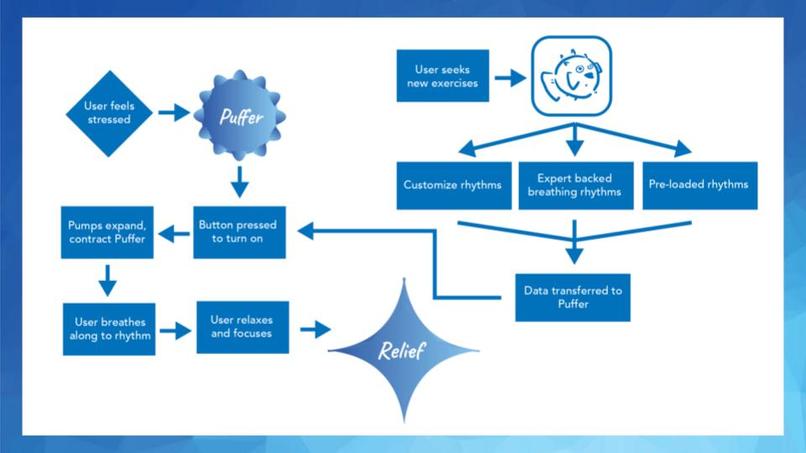 Team 05 - PUFFER – screenshot 2