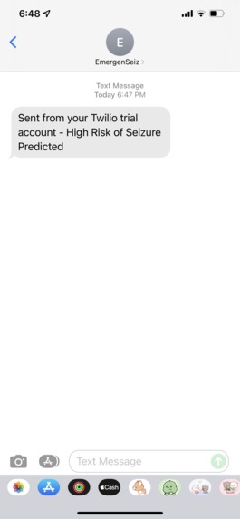 EmergenSeiz – screenshot 2