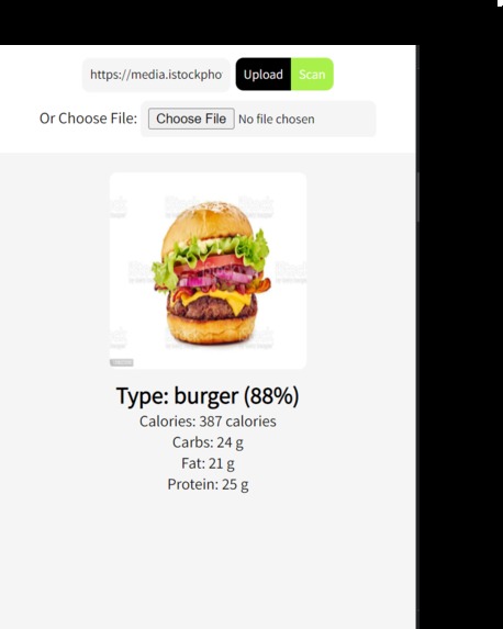 the-nutritionalist – screenshot 6