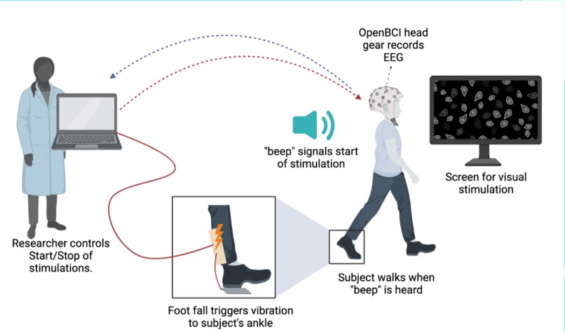 2Sense – screenshot 2