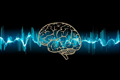 NeuroSymphony – screenshot 1