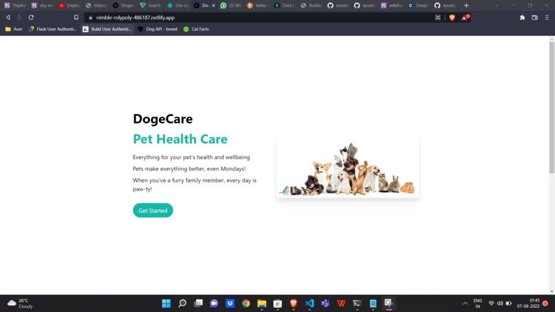 DogeCare – screenshot 1