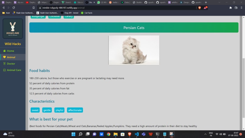 DogeCare – screenshot 3