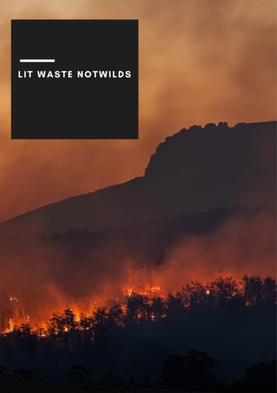 lit waste not wilds – screenshot 1