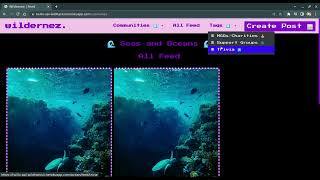 wildernez. – screenshot 1