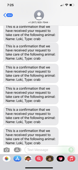 PetMe – screenshot 2