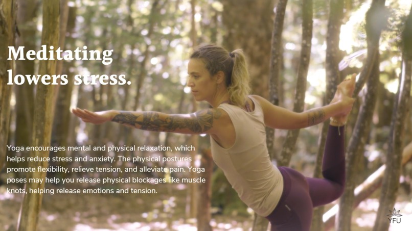 Yoga For Ukrainians (YFU) – screenshot 5