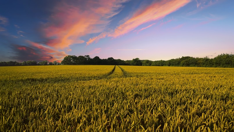 Agriculture vision: drydown vs nutrient – screenshot 1
