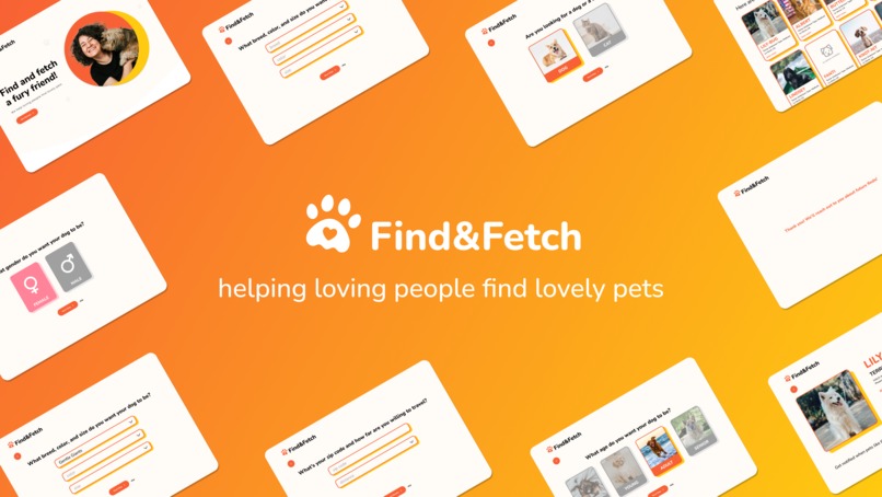 Find and Fetch – screenshot 1