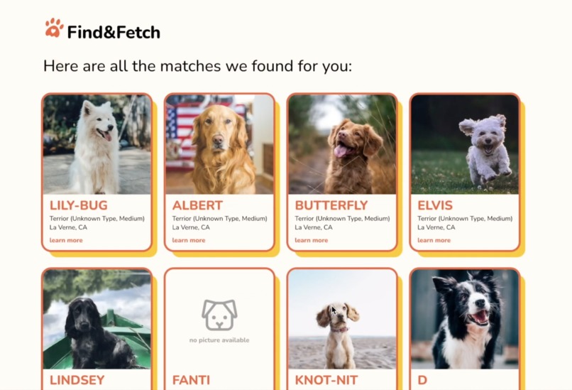 Find and Fetch – screenshot 3