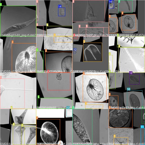 Microscope Assistance (Edu app) – screenshot 6