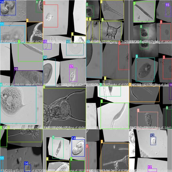 Microscope Assistance (Edu app) – screenshot 7