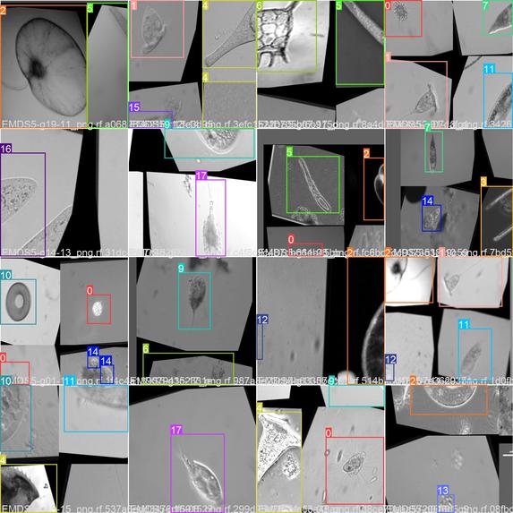 Microscope Assistance (Edu app) – screenshot 2