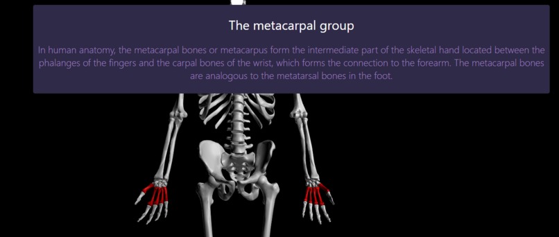 The Abracanatomy – screenshot 2