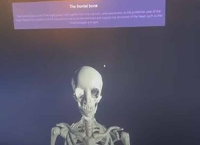 The Abracanatomy – screenshot 3