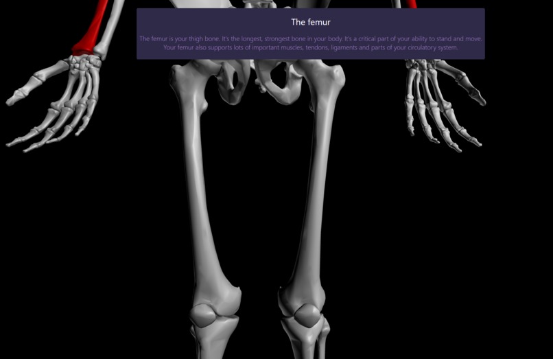 The Abracanatomy – screenshot 4