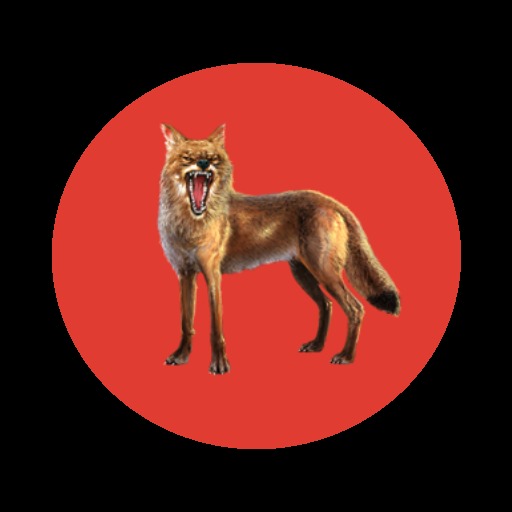 Morabaraba Duel  – screenshot 4