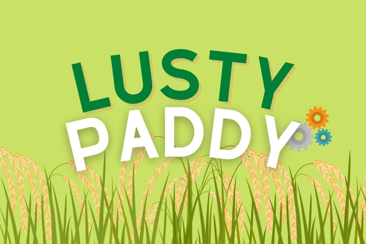Lusty Paddy – screenshot 1
