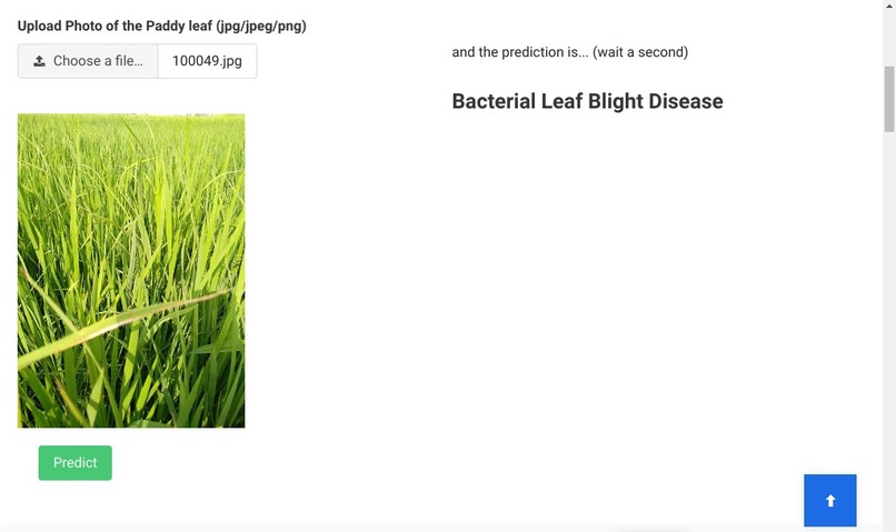 Lusty Paddy – screenshot 3