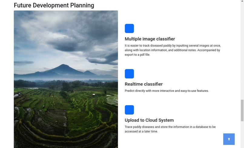 Lusty Paddy – screenshot 6