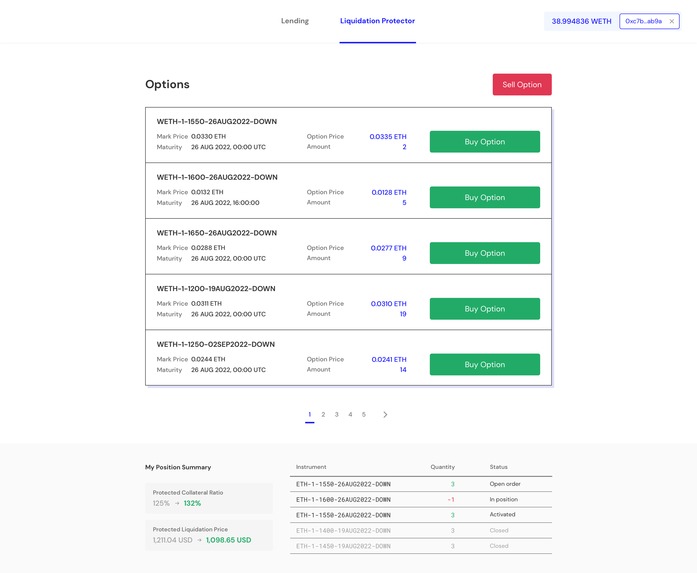Knock-In Option Based Anti-Liquidation Protocol – screenshot 1