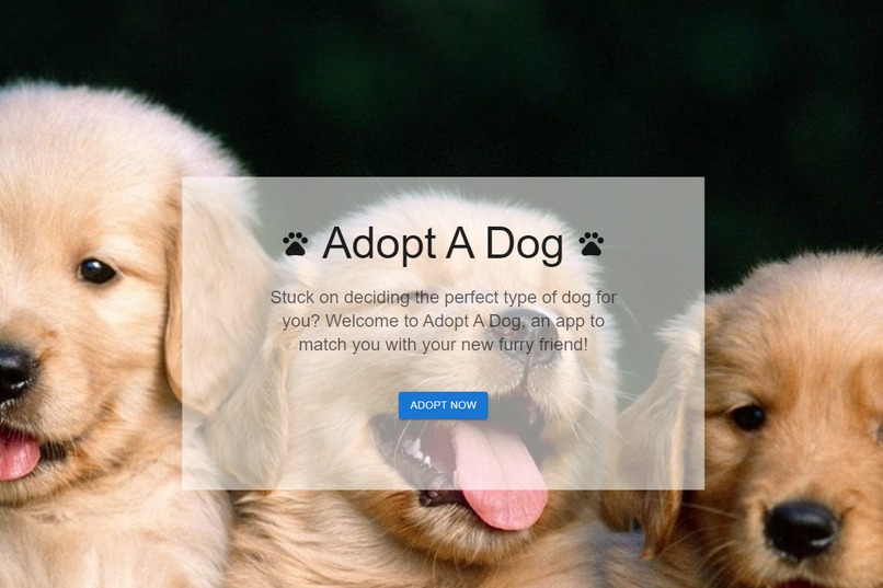 Adopt A Dog – screenshot 1