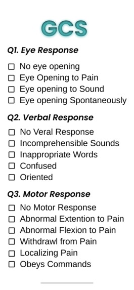 MindWork – screenshot 3