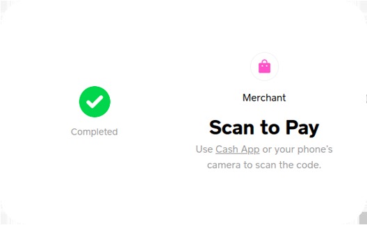 WP EasyPay – screenshot 1