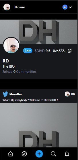 DiverseHQ – screenshot 4