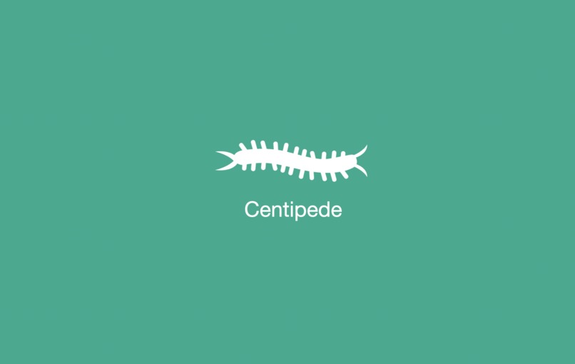 Centipede – screenshot 1