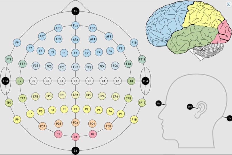 RouseAI – screenshot 2