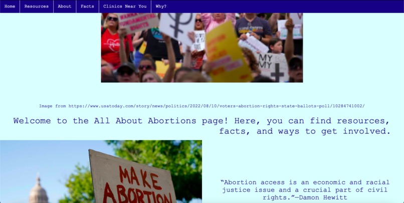 All About Abortions – screenshot 1
