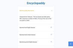 LustyPaddy – screenshot 6