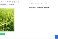 LustyPaddy – screenshot 3