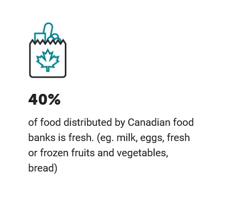 FORAGE  – screenshot 9