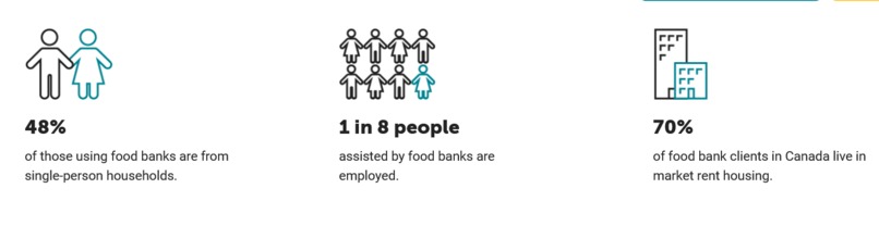 FORAGE  – screenshot 10