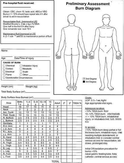 Quick Burns Assessment app – screenshot 2