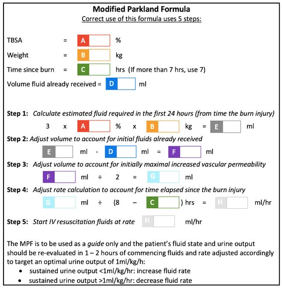 Quick Burns Assessment app – screenshot 3