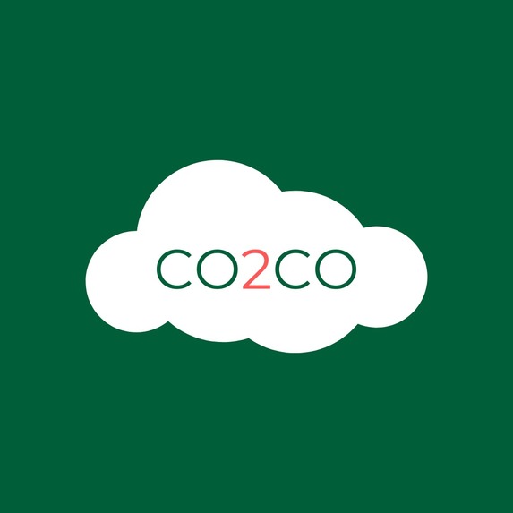 co2counter - Carbon Strategy – screenshot 1