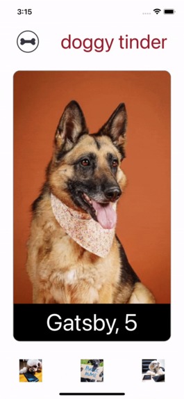 doggyTinder – screenshot 1