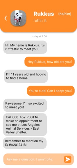 doggyTinder – screenshot 4