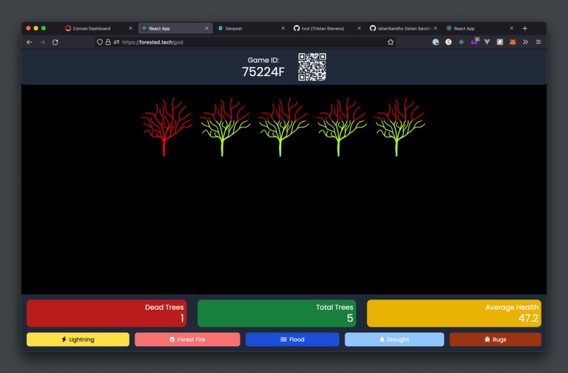Forest – screenshot 1