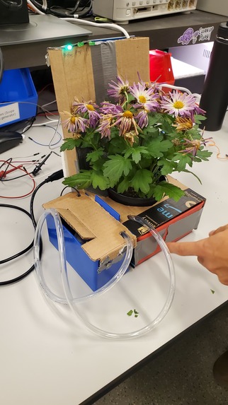 OptiGrow – screenshot 2