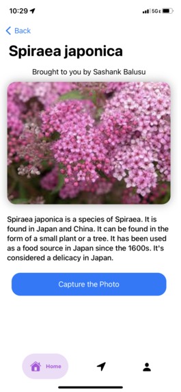 Datability – screenshot 1