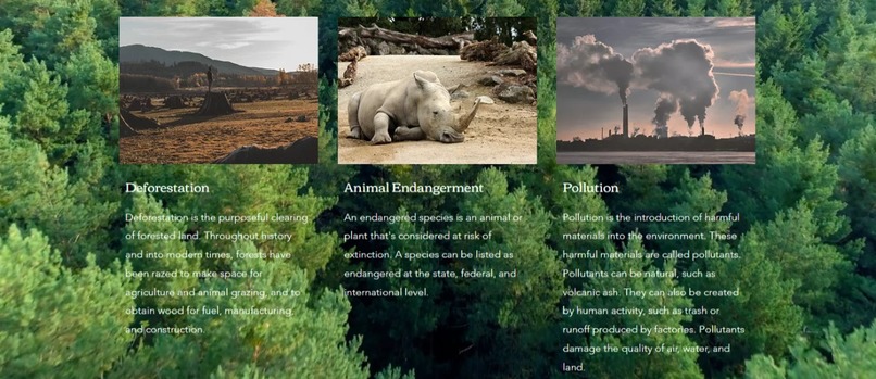 ECOLIFE – screenshot 3