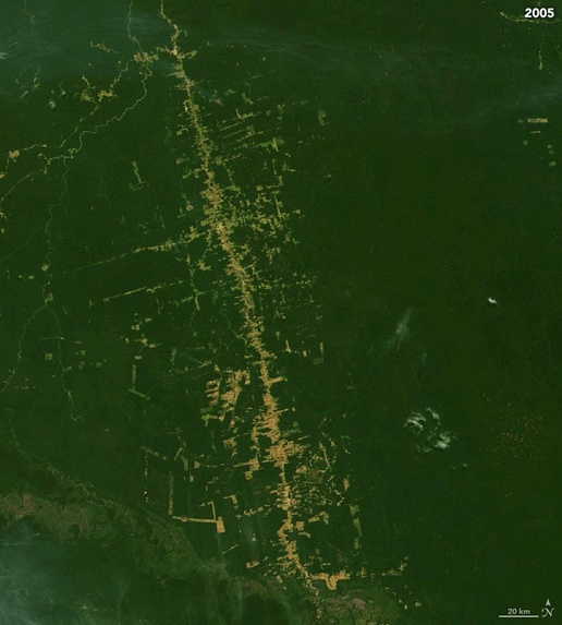 Climate Crisis – screenshot 2